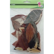 Plumes coupées camaieu chocolat 10g 6cm