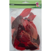 Plumes coupées camaieu rouge 10g 6cm