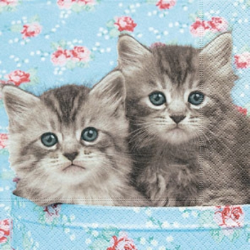 668068 - 4037698101647 - Graine créative - Serviette Roméo & Julia 20 pièces