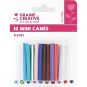 Tranches de canes MINI MINI Fleurs