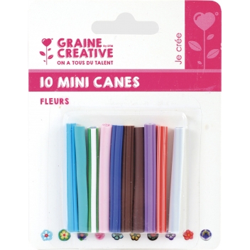 269205 - 3471052692050 - Graine créative - Tranches de canes MINI MINI Fleurs - 2