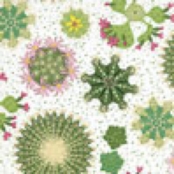 Serviette Cacti 20 pièces