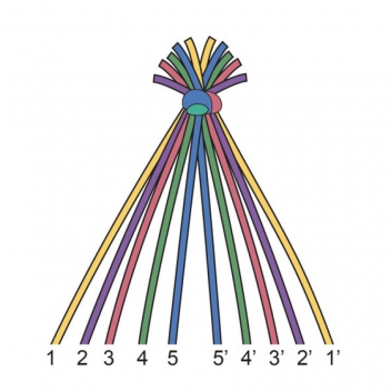 205024 - 3532432050249 - Graine créative - Fil à broder 8 échevettes 7m Mexicain - 4