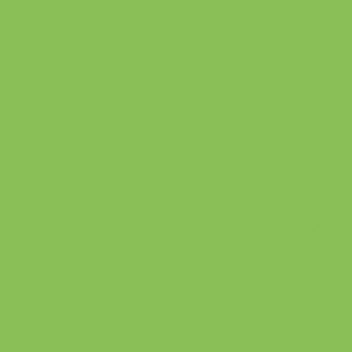 261896 - 4007817064030 - Fimo - Pâte Fimo 57 g Effect Néon Vert 8010-501 - 2
