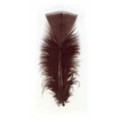 Plume Marron 5g (env. 30 plumes)