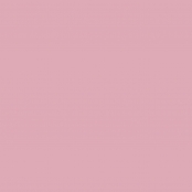 Cricut : Feuilles Vinyle Permanent Premium Brillant Pastels 30,5 cm x6