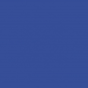 Cricut Joy : Rouleau Vinyle Permanent Bleu Brillant 13,9x121,9 cm