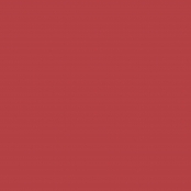 Cricut Joy : Rouleau Vinyle Repositionnable Rouge mat 13,9x121,9 cm