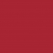 Cricut Smart : Feuille Vinyle Permanent 33x91 cm Rouge