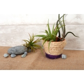 Ficelle de Sisal Pelote 100 g