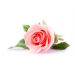 Array.produit_nom_nom