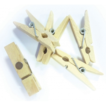 103668 - 3532431036688 - Graine créative - Pince à linge magnétique Naturel 10 pièces - 2