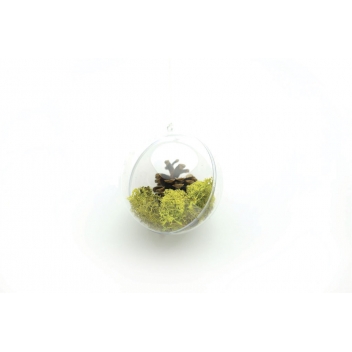 579001 - 3532435790012 - Graine créative - Boules plastiques Cristal 5 cm 5 pièces - 3
