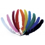Plumes d\'indien pour activités manuelles enfant Assortiment 10 pièces