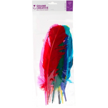 460202 - 3532434602026 - Graine créative - Plumes d'indien pour activités manuelles enfant Assortiment 10 pièces