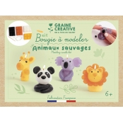 Kit Enfant Bougies à Modeler Animaux Sauvages