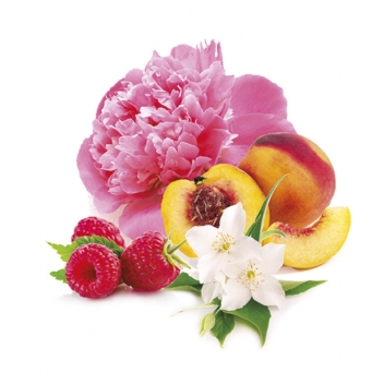 151056 - 3532431510560 - Graine créative - Parfum pour savon 27 ml Jardin d\'été - France - 2