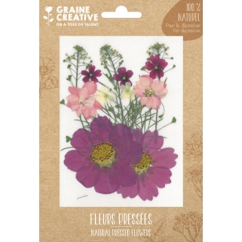 200276 - 3532432002767 - Graine créative - Fleurs Pressées Prairie Parme 14 pièces - 3