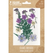 Fleurs Pressées Prairie Violet 13 pièces