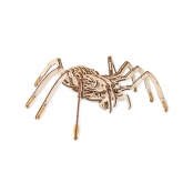 Maquette 3D en Bois Puzzle Arraignée
