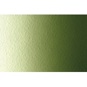 Teinture Textile Vert Kaki 100 ml