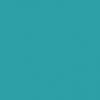 262206 - 4007817805077 - Fimo - Pâte Fimo Kids 42 g Turquoise 8030.39 - 3