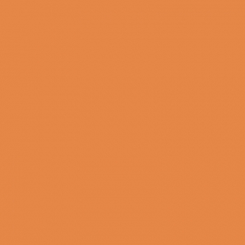 262207 - 4007817805084 - Fimo - Pâte Fimo Kids 42 g Orange 8030.4 - 3