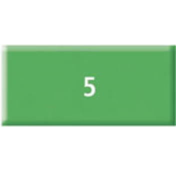 262209 - 4007817805107 - Fimo - Pâte Fimo Kids 42 g Vert 8030.5 - 2