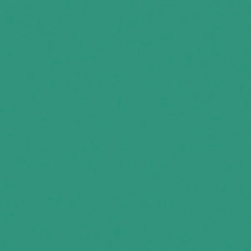 262209 - 4007817805107 - Fimo - Pâte Fimo Kids 42 g Vert 8030.5 - 3