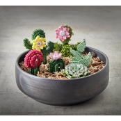 Kit Hama Art Cactus et Succulentes