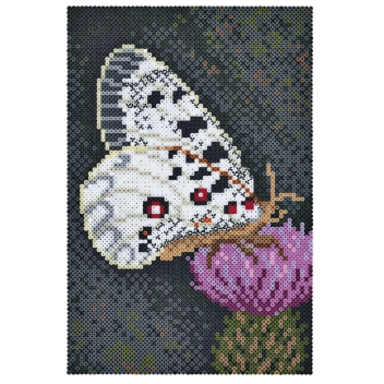 3605 - 28178036058 - Hama - Kit Hama Art Papilllon