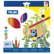 Crayons de couleur hexagonaux 24 pièces