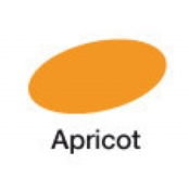Marqueur à l’alcool Graph\'it 2110 Apricot
