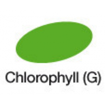 GI08150 - 3700010081507 - Graph it - Marqueur à l’alcool Graph'it 8150 Chlorophyll