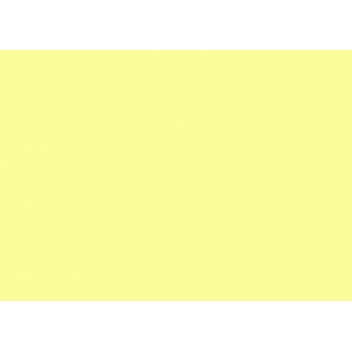 CEY13 - 4511338005514 - Copic - Encre Various Ink pour marqueur Copic Y13 Lemon Yellow