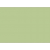 Encre Various Ink pour marqueur Copic YG61 Pale Moss