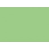 Encre Various Ink pour marqueur Copic YG63 Pea Green