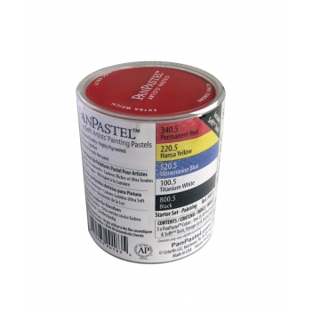 PAN30051 - 0879465001835 - Panpastel - Pastel Panpastel Set 5 couleurs + outils Basique