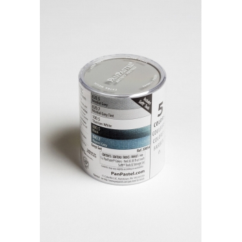 PAN30054 - 0879465001927 - Panpastel - Pastel Panpastel Set 5 couleurs + outils Gris - 2