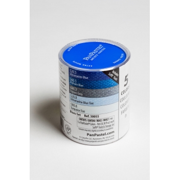 PAN30055 - 0879465001958 - Panpastel - Pastel Panpastel Set 5 couleurs + outils Bleu - 2