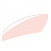 Marqueur manga à l’alcool Graph\'it Brush 4145 Organza