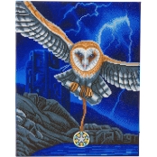 Kit tableau diamant LED 40x50cm Hibou