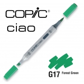 Marqueur à l'alcool Copic Ciao G17 Forest Green