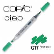 Marqueur à l\'alcool Copic Ciao G17 Forest Green