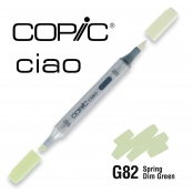 Marqueur à l'alcool Copic Ciao G82 Spring Dim Green