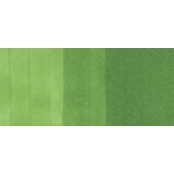 Marqueur à l\'alcool Copic Ciao YG17 Grass Green