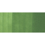 Marqueur à l\'alcool Copic Ciao YG67 Moss