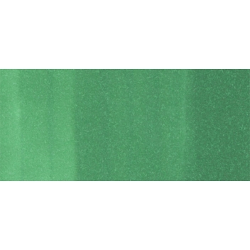 CSG09 - 4511338007112 - Copic - Marqueur à l'alcool Copic Sketch G09 Veronese Green