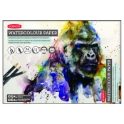 Bloc aquarelle A2 Paysage 12 feuilles 300gsm