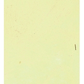 Peinture à l'huile Williamsburg 37ml Perle Iridescent S3